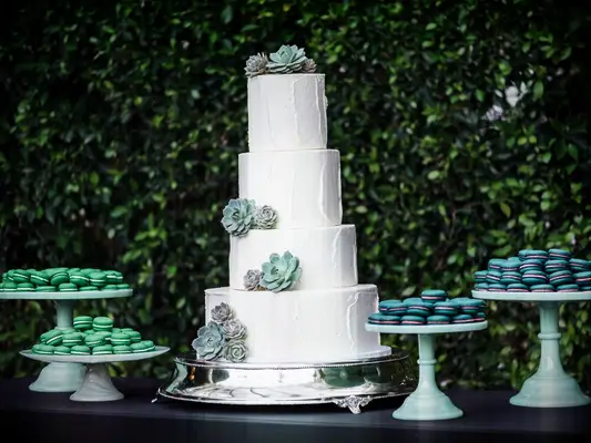 Simple wedding cake with succulents