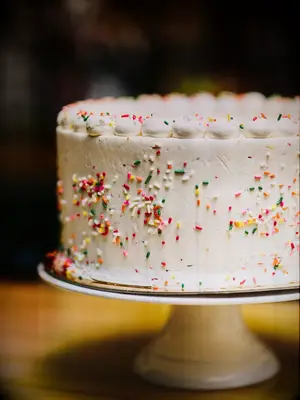 one tier simple wedding cake with white buttercream frosting and rainbow sprinkles