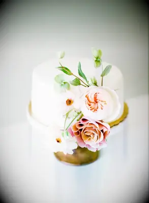 simple one tier wedding cake decorated with pink garden roses and green hellebores