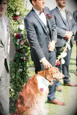 Pet of Honor at Wedding at Bella Collina in Orlando, Florida
