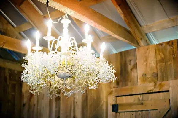 Suspended From the Ceiling