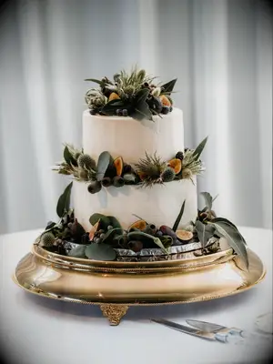 Two-tier white rustic wedding cake with succulent decorations