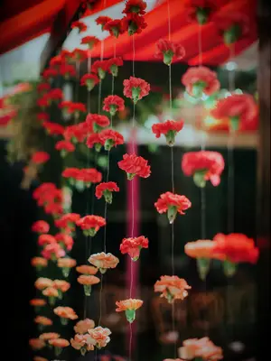 flower curtain made from strands of red, orange and peach marigolds on clear fishing line