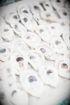 Calligraphed oyster shell escort cards