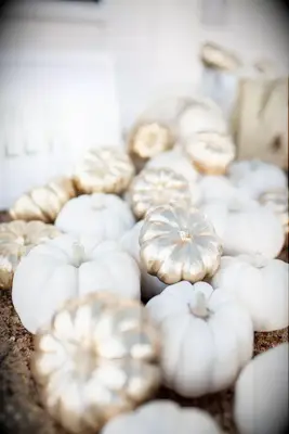 Delightful ghost pumpkins and gold-painted pumpkins.