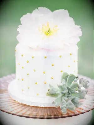 simple one tier wedding cake with gold dragees