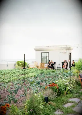 Rooftop garden summer wedding
