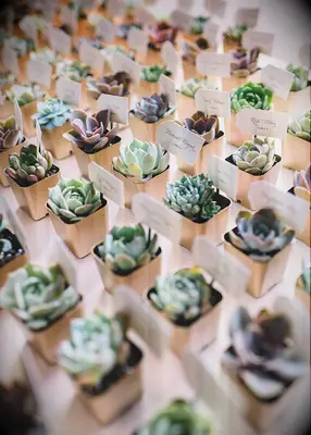 Succulent placecards at summer wedding