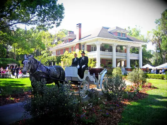 Horse and carriage outside wedding venue
