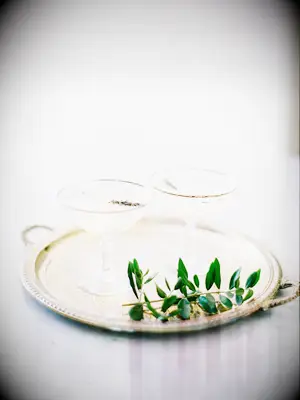 two champagne coupe glasses on gold tray