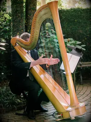 harpist playing music for classic wedding ceremony