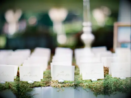 white escort cards with names written in gold calligraphy displayed atop a bed of moss