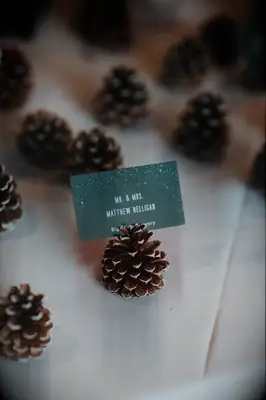 Pine cone place card holders. 