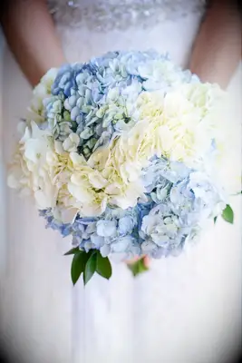 classic white and blue hydrangea wedding bouquet
