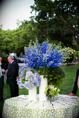 round table at outdoor wedding venue decorated with green geometric print tablecloth and tall centerpiece of blue delphinium