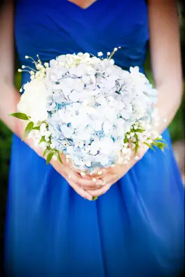 Pale Blue Hydrangea Wedding Bouquet With Baby