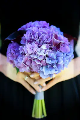 Purple Hydrangea Bridesmaid Bouquets