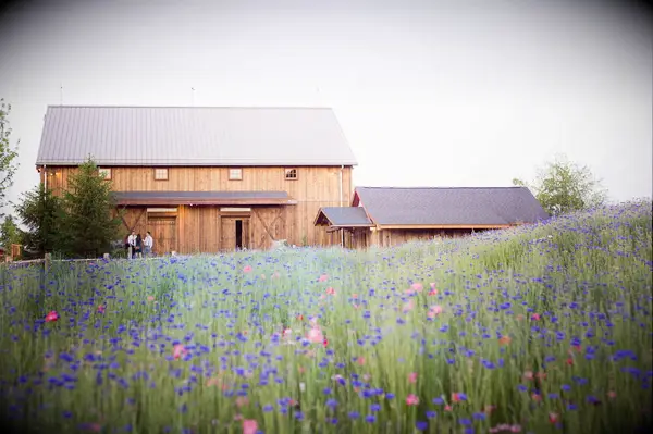 Wildflower Fields barn wedding idea