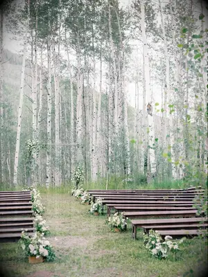 Garden Wedding Bench Ceremony Seating