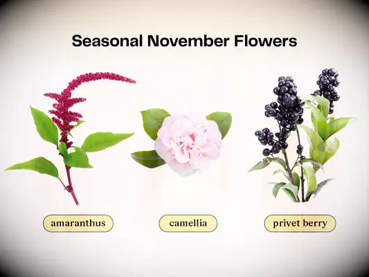 Collage of flowers that are in season for a November wedding. 