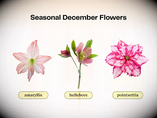 Collage of flowers that are in season for a December wedding. 