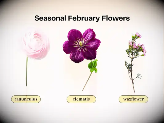 Collage of flowers that are in season for a February wedding. 