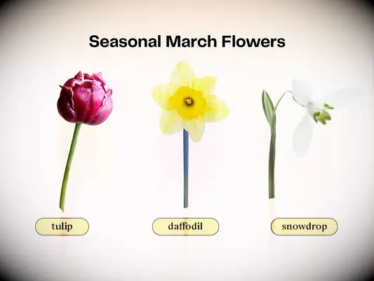 Collage of flowers that are in season for a March wedding. 