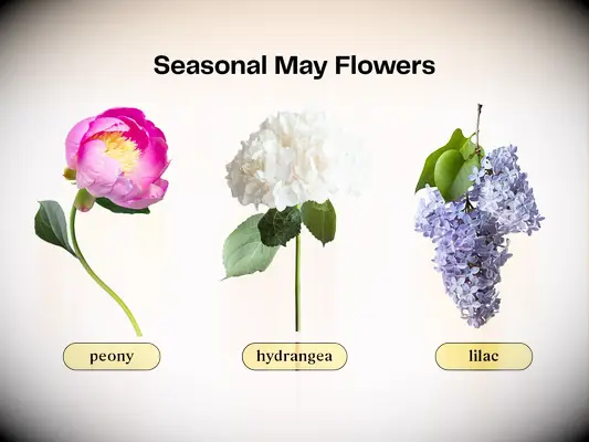 Collage of flowers that are in season for a May wedding.