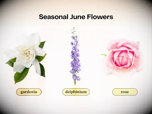 Collage of flowers that are in season for a June wedding.