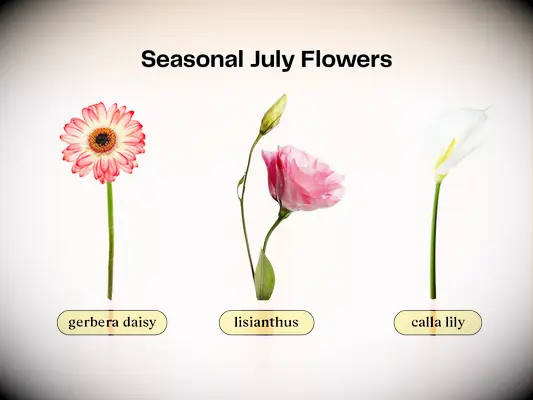 Collage of flowers that are in season for a July wedding. 