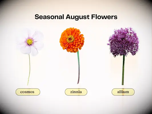 Collage of flowers that are in season for an August wedding. 