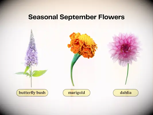 Collage of flowers that are in season for a September wedding. 