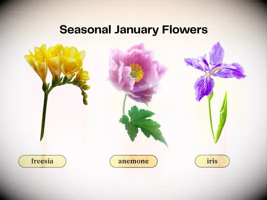 Collage of flowers that are in season for a January wedding.