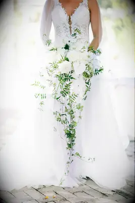 bride holding oversized cascading wedding bouquet with greenery vines, white roses and anthurium