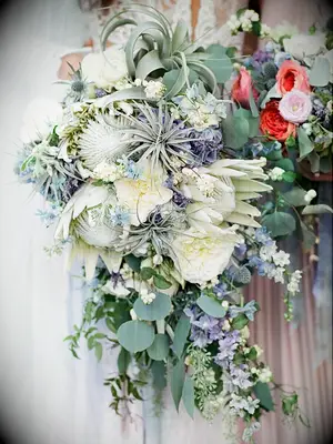 cascading wedding bouquet with air plants, white proteas, blue forget me nots and white roses