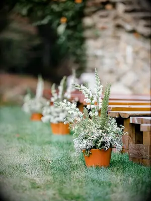 Potted wildflower plants along wedding ceremony aisle at outdoor wedding
