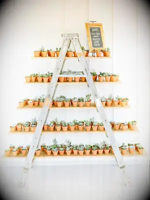 Tiered shelves with succulent wedding favors