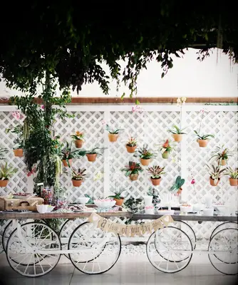 Orchid and plant wall display at wedding