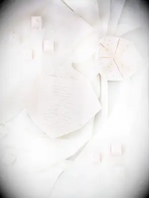 Cootie catcher-shaped wedding programs