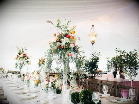 tented wedding reception with tall centerpieces of greenery and orange flowers