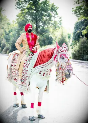 Indian groom on horse at wedding