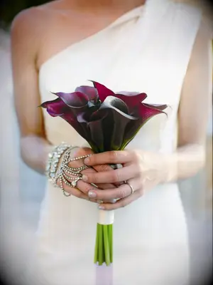 Petite Dark Purple Calla Lily Bouquet