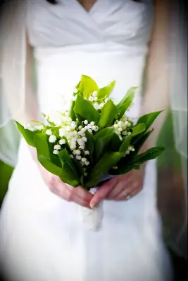 Understated Lily of the Valley Bouquet With Large Leaves
