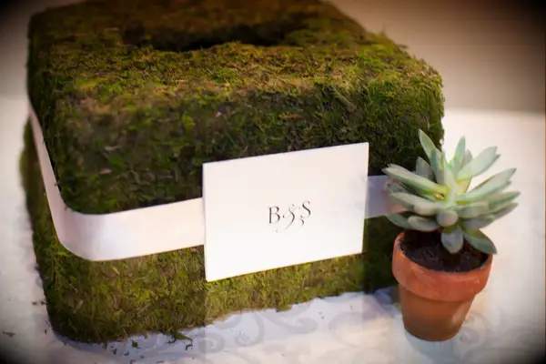 Moss-Covered Card Box