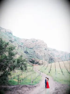 Wine vineyard engagement photoshoot ideas