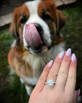 Engagement ring photo with dog