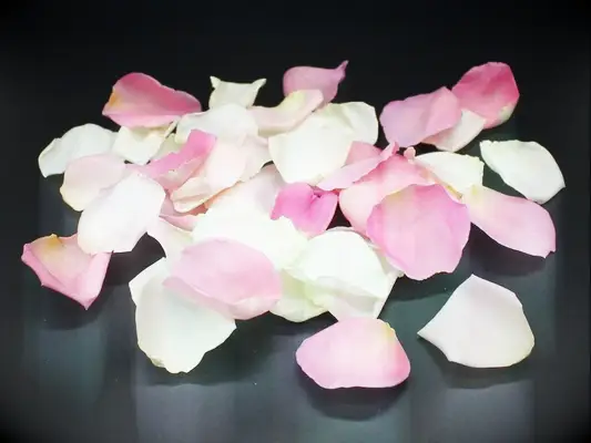 Freeze-dried rose petals proposal decorations
