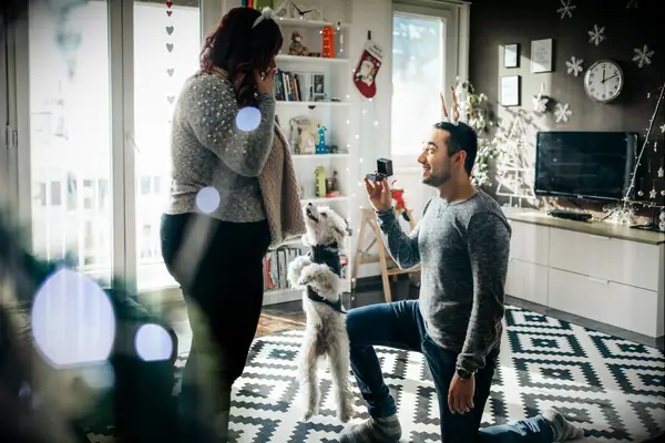 15 idées de proposition de chien pour poser la question avec l'aide de votre ami à fourrure