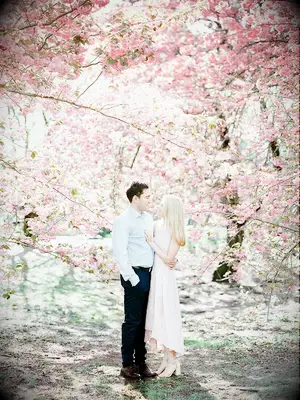 Couple surrounded by cherry blossoms
