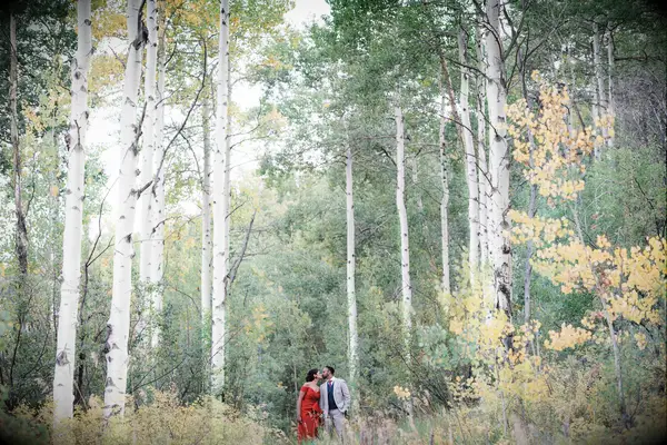 Long distance photoshoot in a forest with the engaged couple